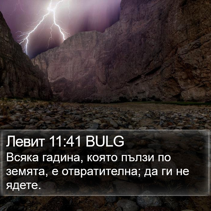 Левит 11:41 BULG Bible Study