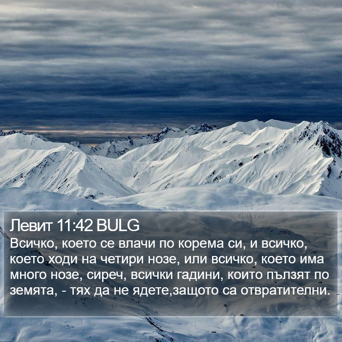 Левит 11:42 BULG Bible Study