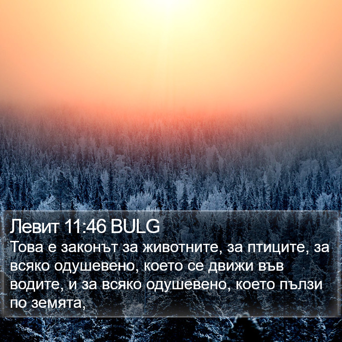 Левит 11:46 BULG Bible Study