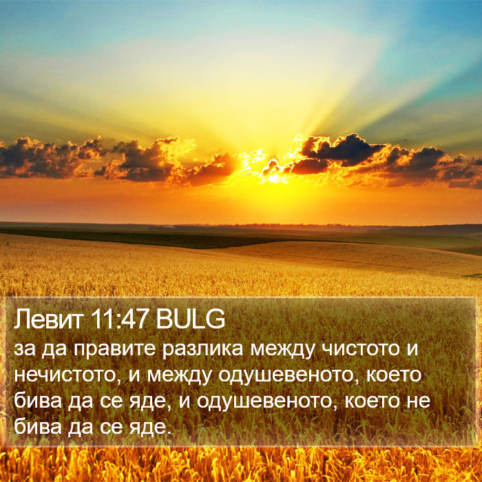 Левит 11:47 BULG Bible Study