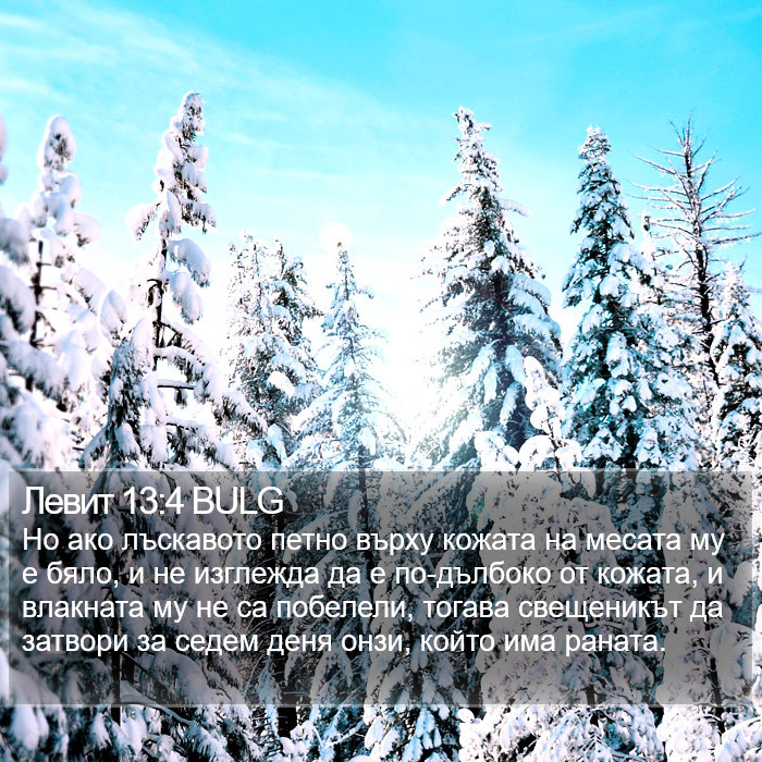 Левит 13:4 BULG Bible Study