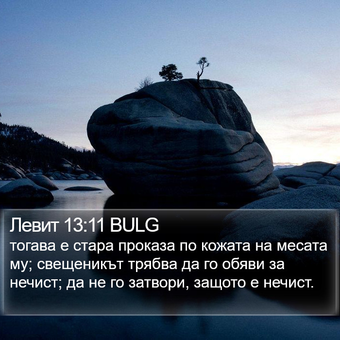 Левит 13:11 BULG Bible Study