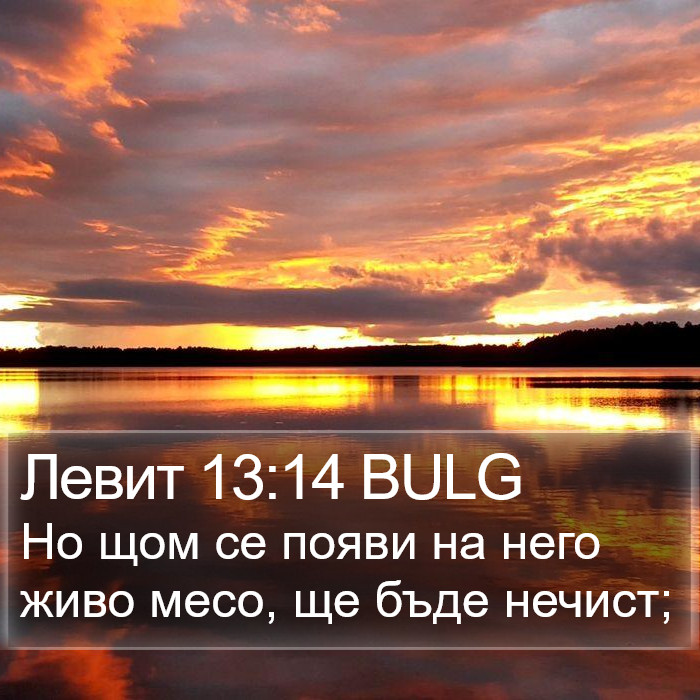 Левит 13:14 BULG Bible Study