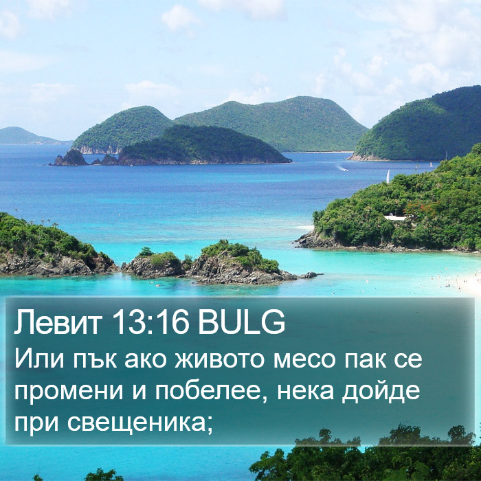 Левит 13:16 BULG Bible Study