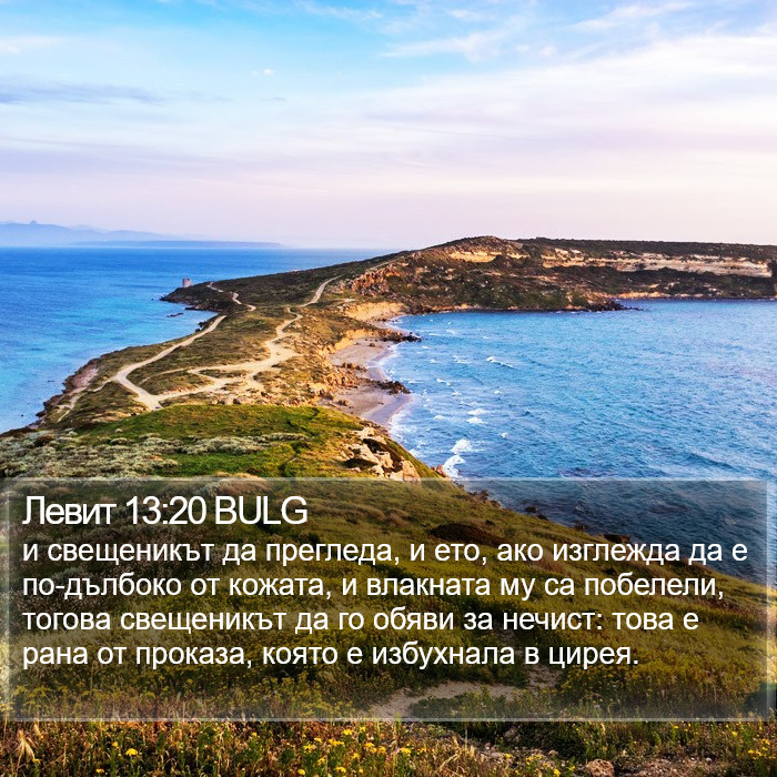 Левит 13:20 BULG Bible Study