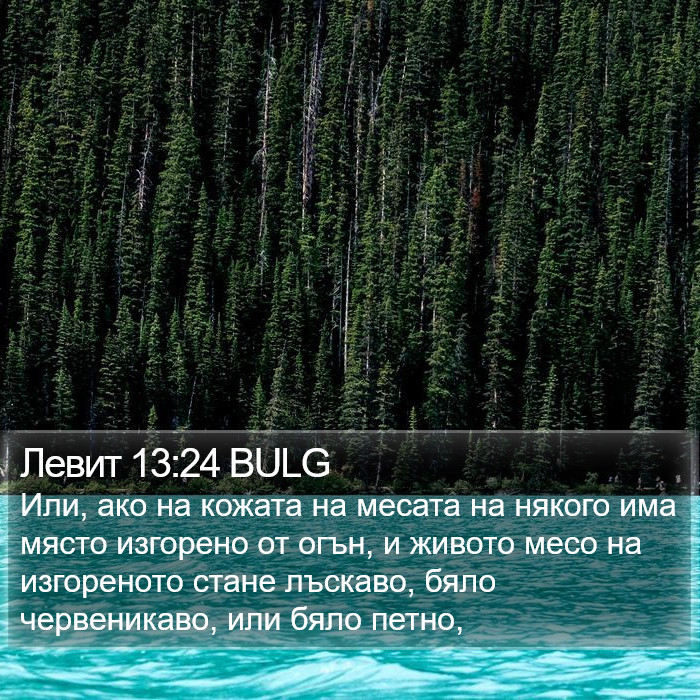 Левит 13:24 BULG Bible Study