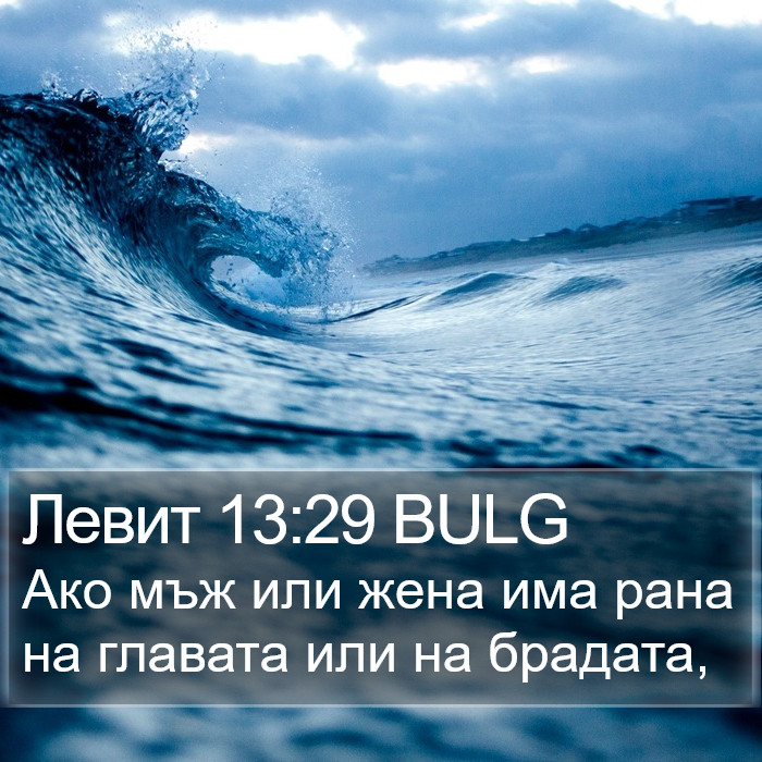 Левит 13:29 BULG Bible Study