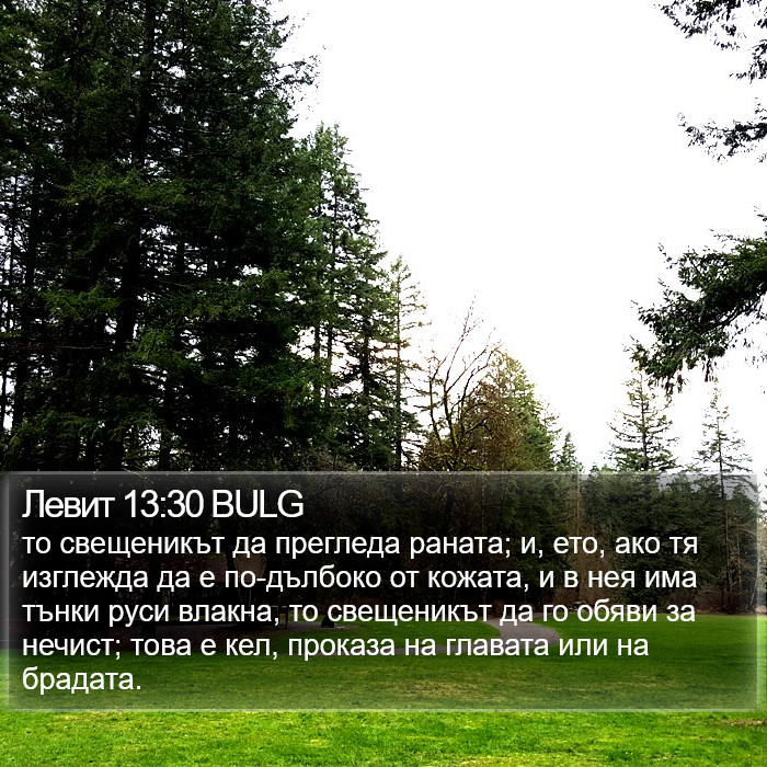 Левит 13:30 BULG Bible Study