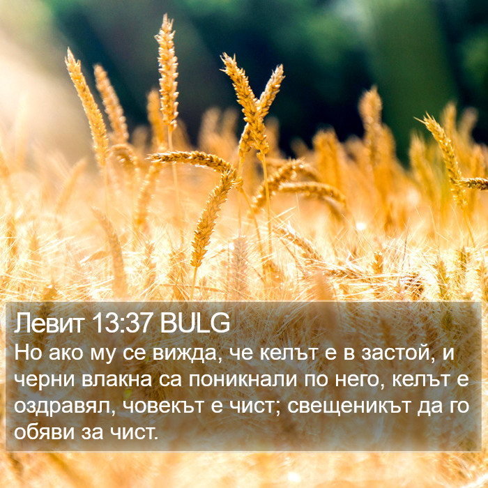 Левит 13:37 BULG Bible Study