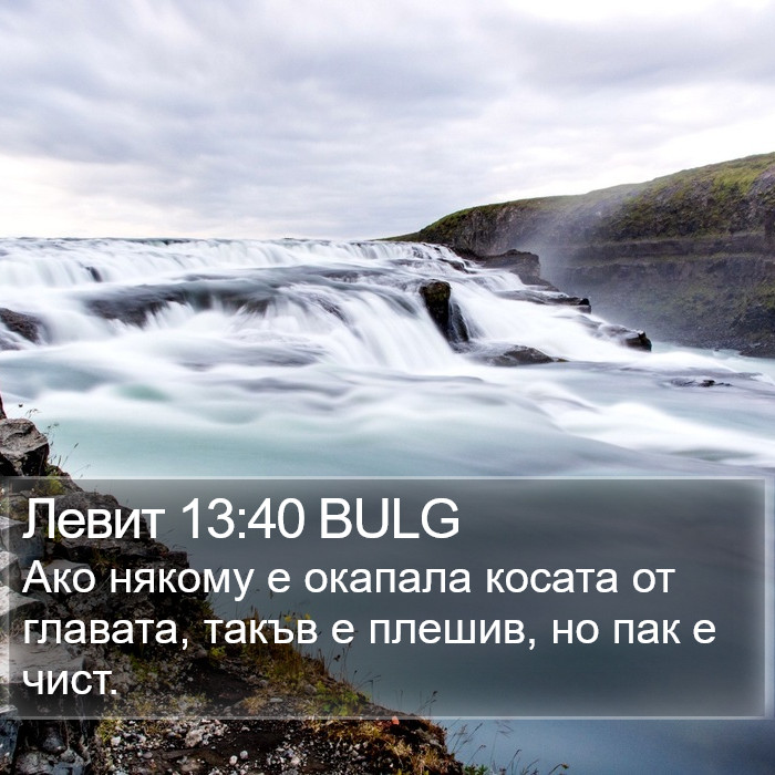 Левит 13:40 BULG Bible Study