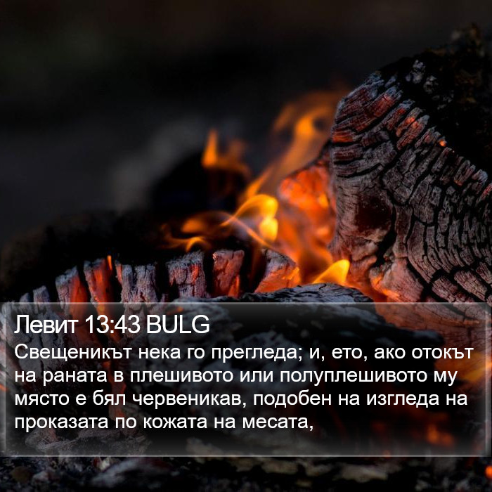 Левит 13:43 BULG Bible Study