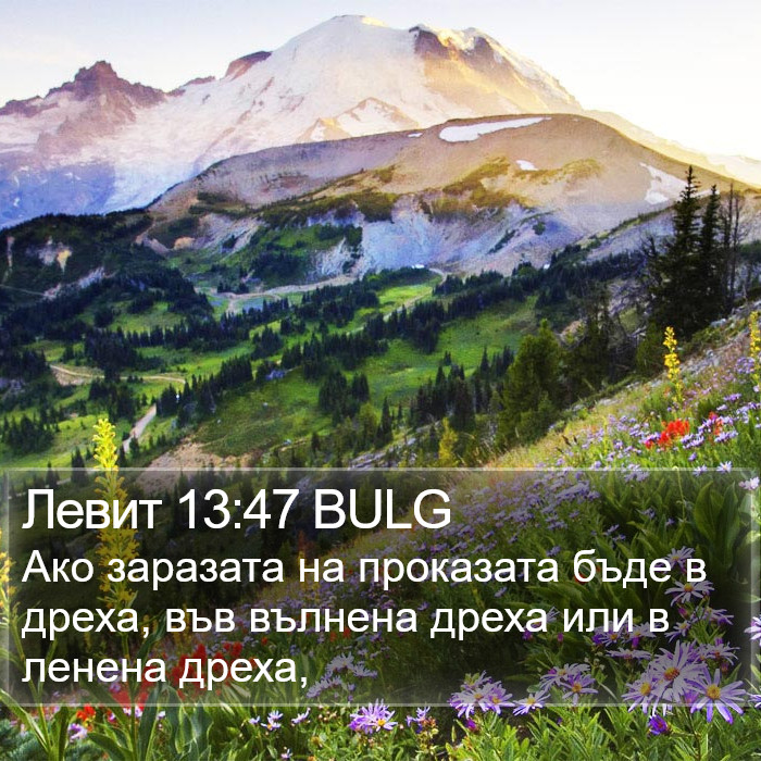 Левит 13:47 BULG Bible Study