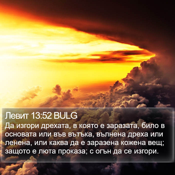 Левит 13:52 BULG Bible Study