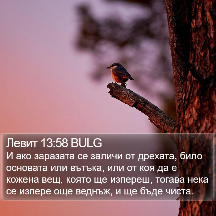 Левит 13:58 BULG Bible Study