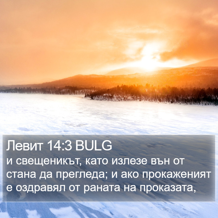 Левит 14:3 BULG Bible Study