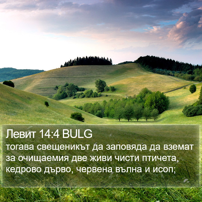 Левит 14:4 BULG Bible Study