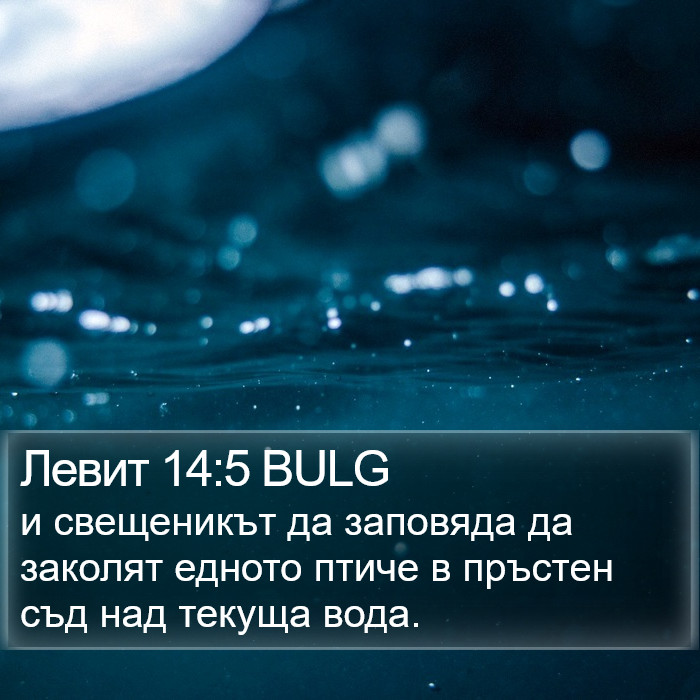 Левит 14:5 BULG Bible Study