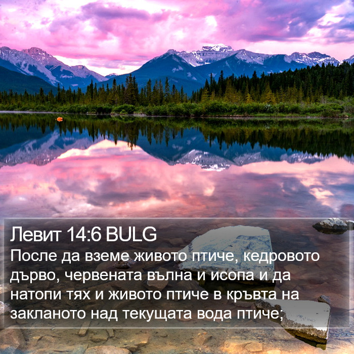 Левит 14:6 BULG Bible Study