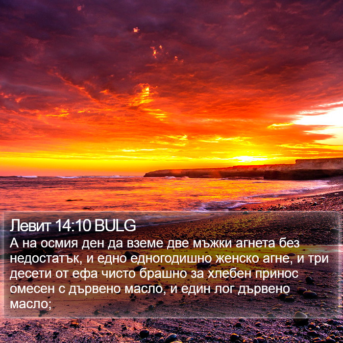 Левит 14:10 BULG Bible Study