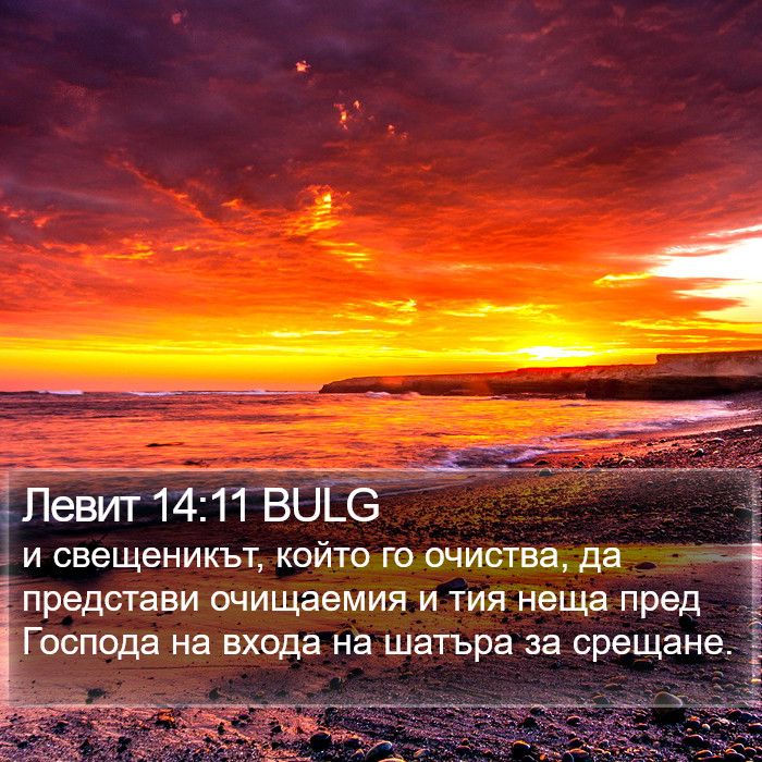 Левит 14:11 BULG Bible Study