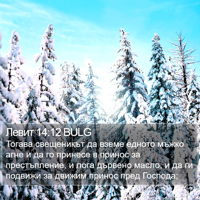 Левит 14:12 BULG Bible Study