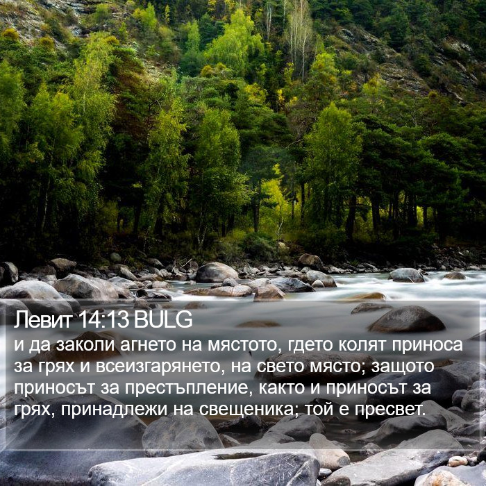 Левит 14:13 BULG Bible Study