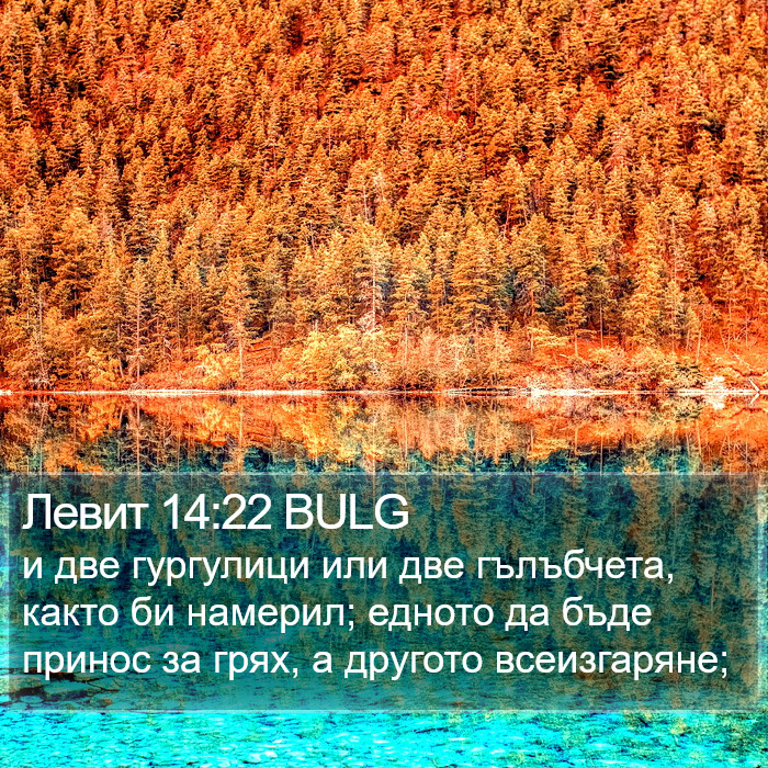 Левит 14:22 BULG Bible Study