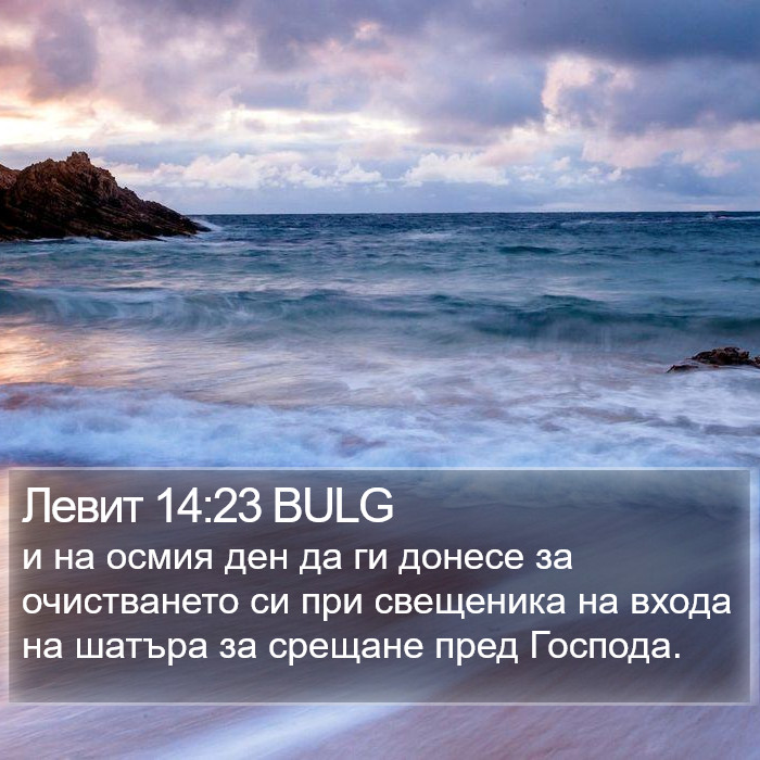 Левит 14:23 BULG Bible Study