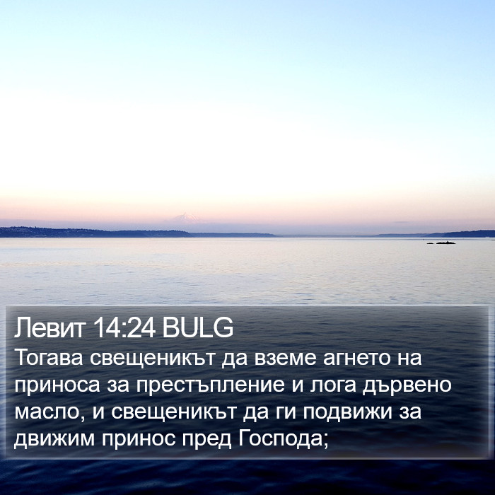 Левит 14:24 BULG Bible Study