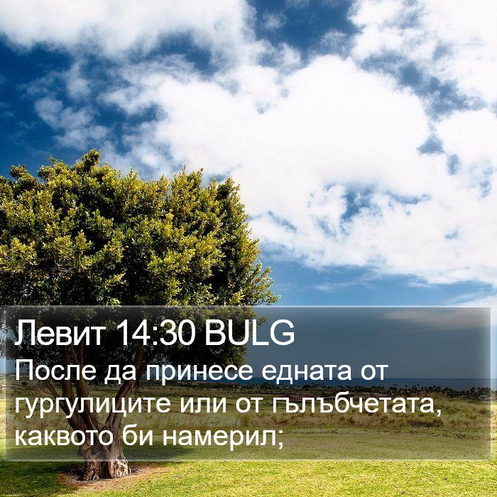 Левит 14:30 BULG Bible Study