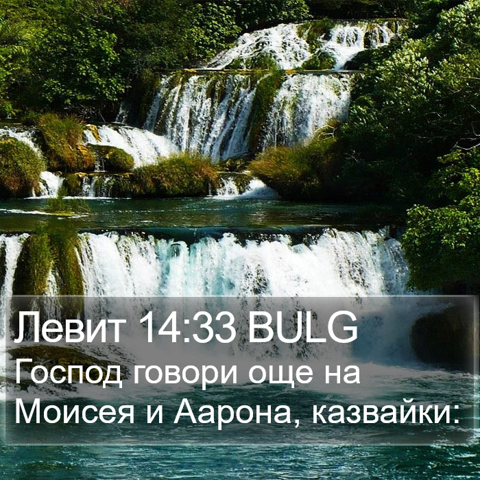 Левит 14:33 BULG Bible Study