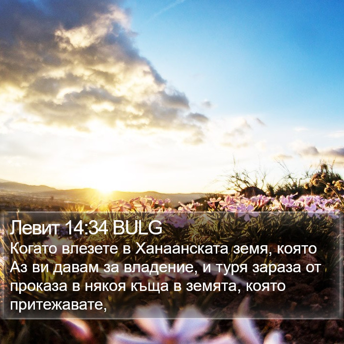 Левит 14:34 BULG Bible Study