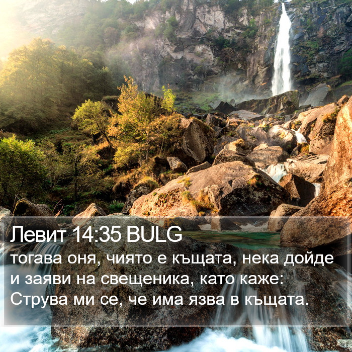 Левит 14:35 BULG Bible Study