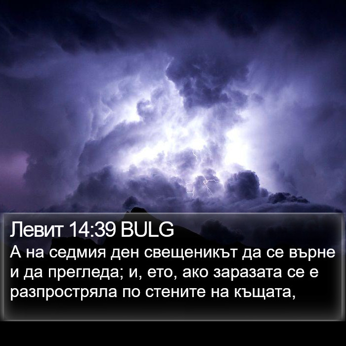 Левит 14:39 BULG Bible Study