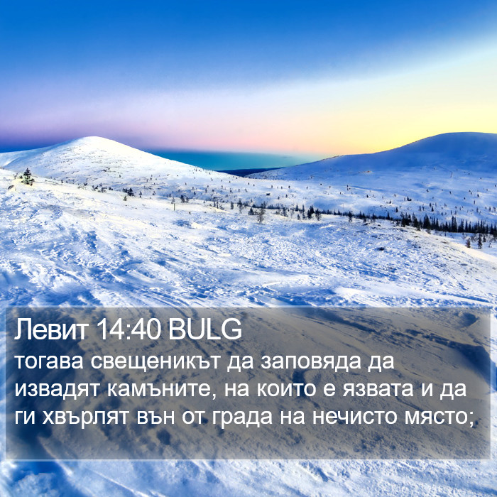 Левит 14:40 BULG Bible Study