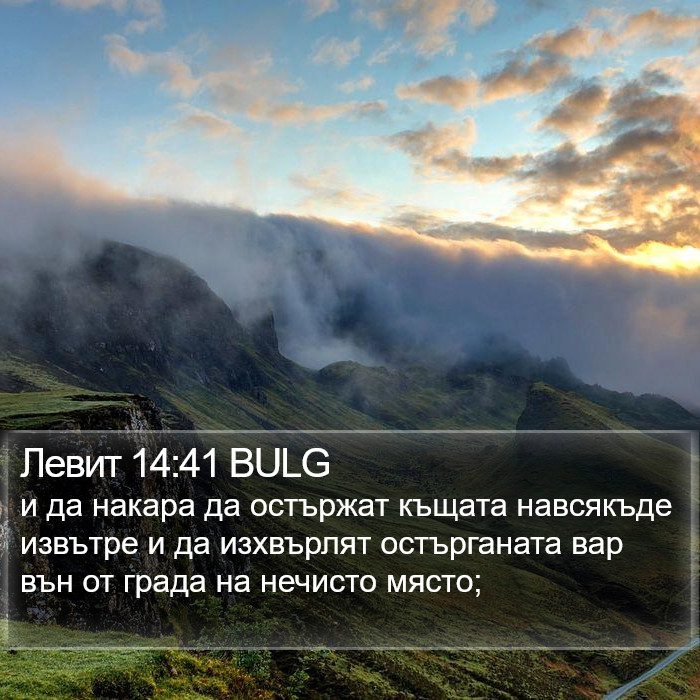 Левит 14:41 BULG Bible Study