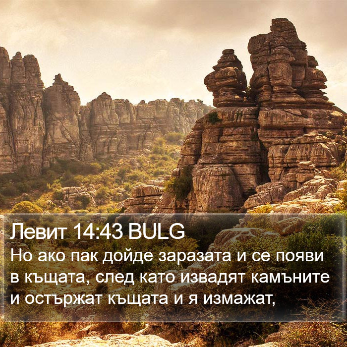 Левит 14:43 BULG Bible Study