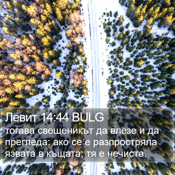 Левит 14:44 BULG Bible Study