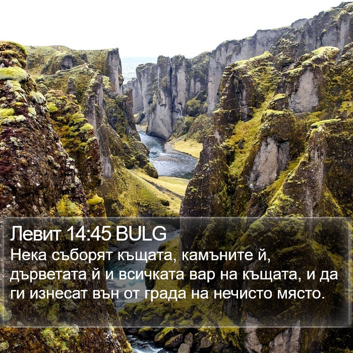 Левит 14:45 BULG Bible Study