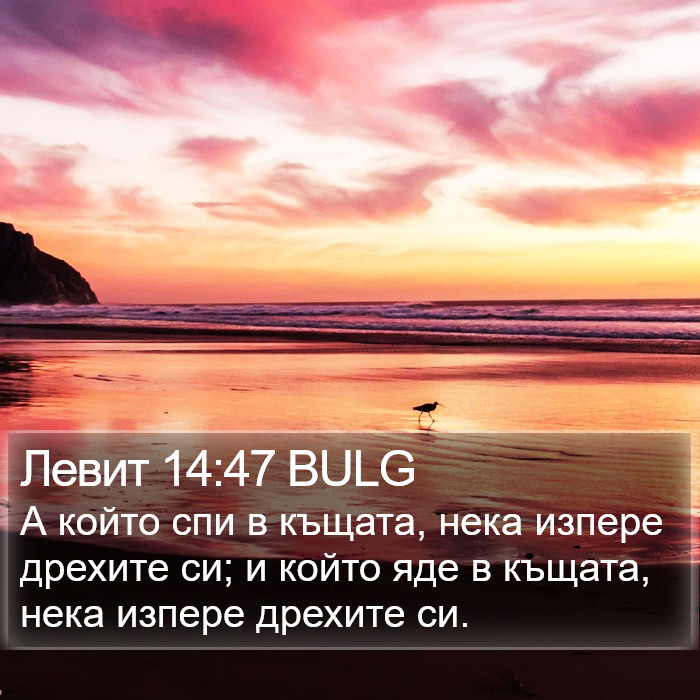 Левит 14:47 BULG Bible Study