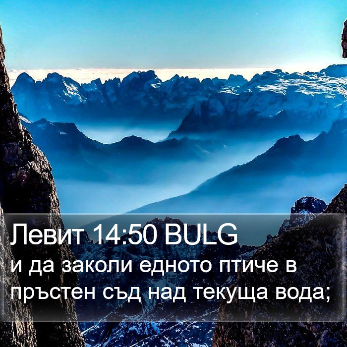 Левит 14:50 BULG Bible Study