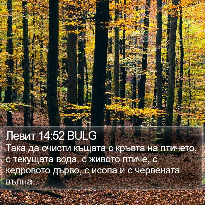 Левит 14:52 BULG Bible Study