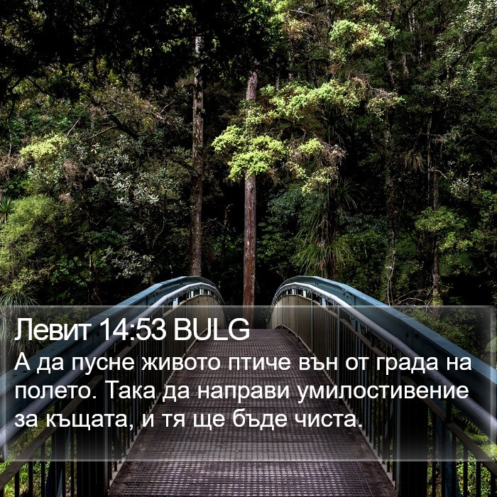 Левит 14:53 BULG Bible Study