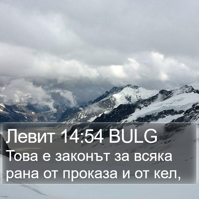 Левит 14:54 BULG Bible Study