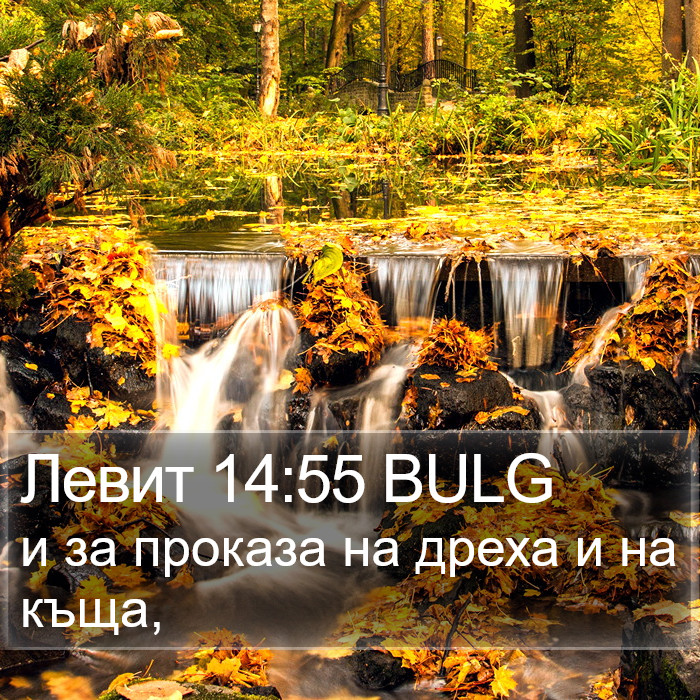 Левит 14:55 BULG Bible Study