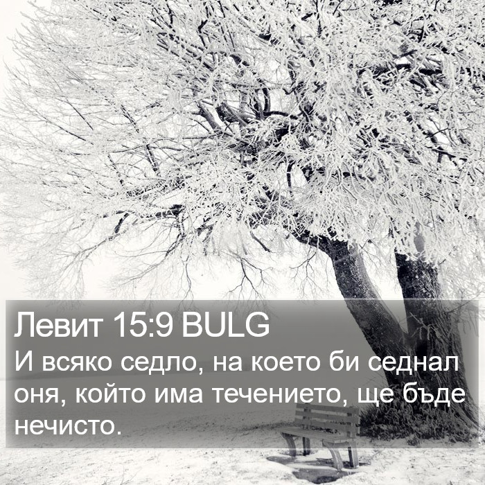 Левит 15:9 BULG Bible Study