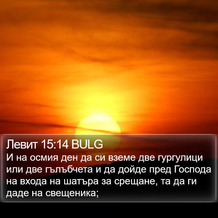 Левит 15:14 BULG Bible Study