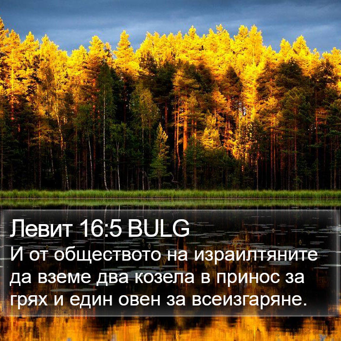 Левит 16:5 BULG Bible Study