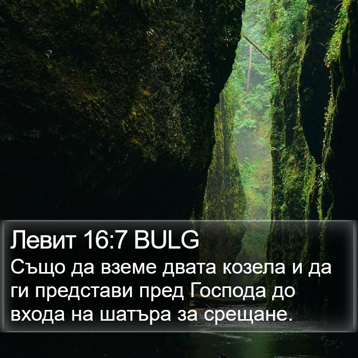 Левит 16:7 BULG Bible Study