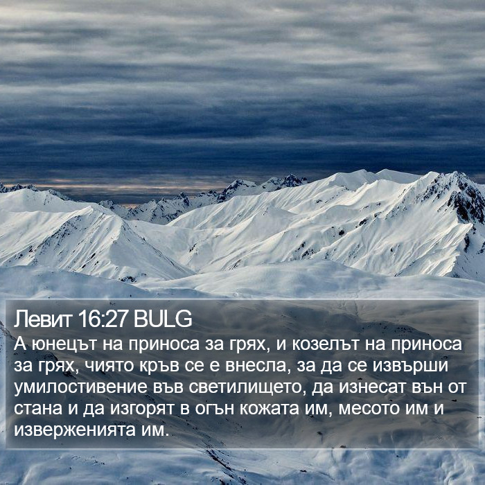 Левит 16:27 BULG Bible Study